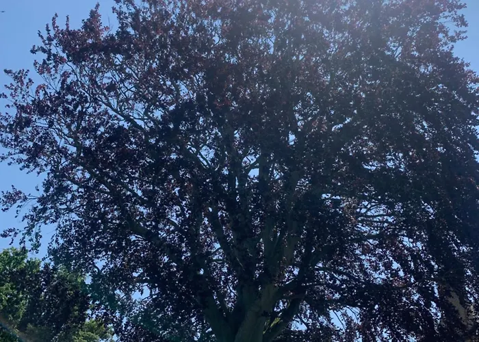 Appartamento Le Hetre Pourpre *