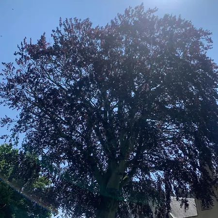 Apartamento Le Hetre Pourpre *